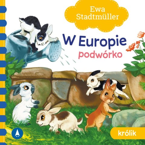Podwórko. Królik. W Europie Podwórko. Królik. W Europie