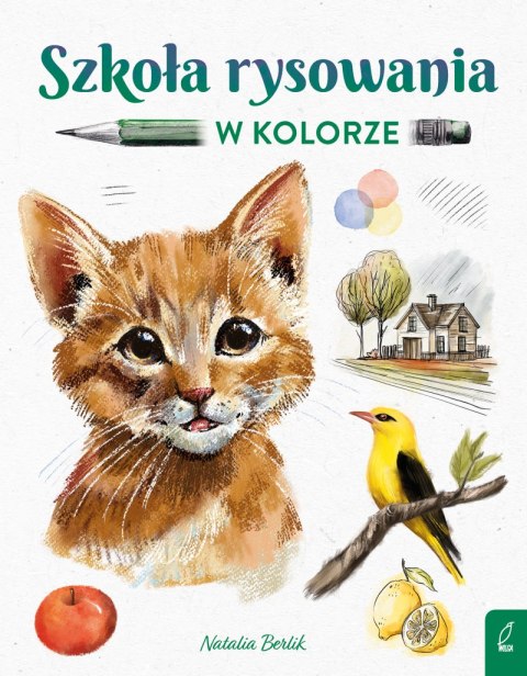 Szkoła rysowania w kolorze Szkoła rysowania w kolorze