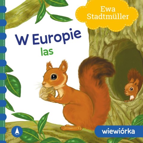 W Europie. Las. Wiewiórka W Europie. Las. Wiewiórka