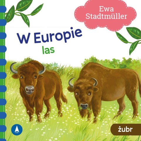 W Europie. Las. Żubr W Europie. Las. Żubr