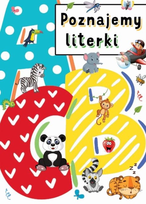Poznajemy literki Poznajemy literki