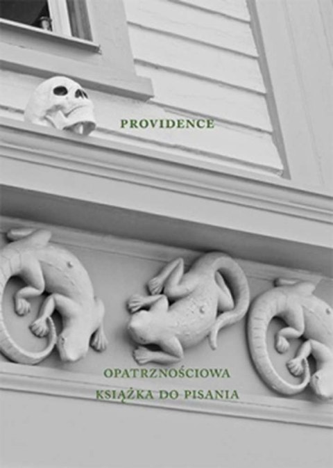 Providence. Opatrznościowa książka do pisania Providence. Opatrznościowa książka do pisania