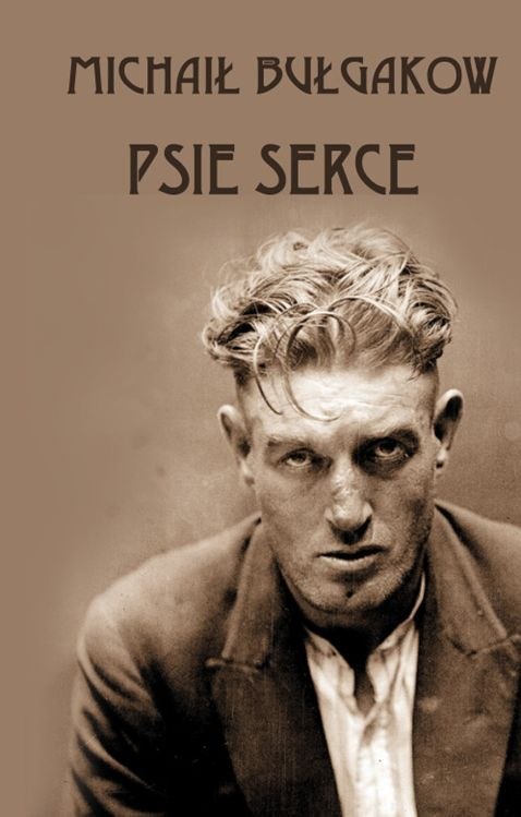 Psie serce Psie serce