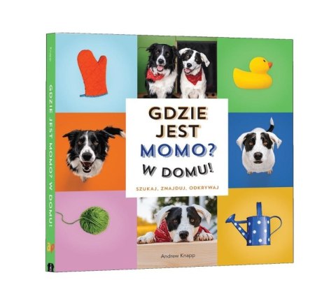 Gdzie jest Momo? W domu! Gdzie jest Momo? W domu!