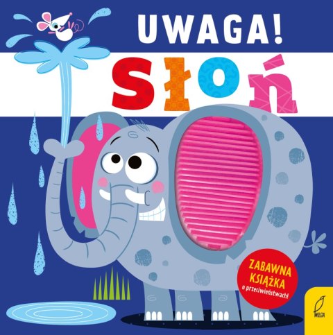 Uwaga! Słoń Uwaga! Słoń