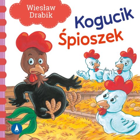 Kogucik śpioszek Kogucik śpioszek