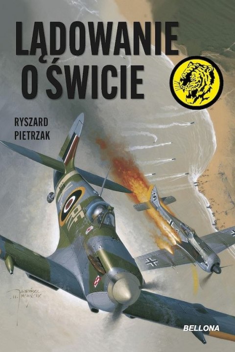 Lądowanie o świcie Lądowanie o świcie