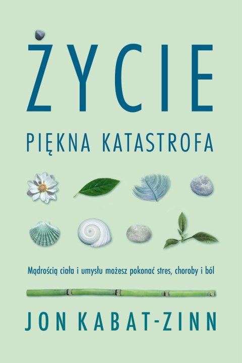 Życie, piękna katastrofa Życie, piękna katastrofa