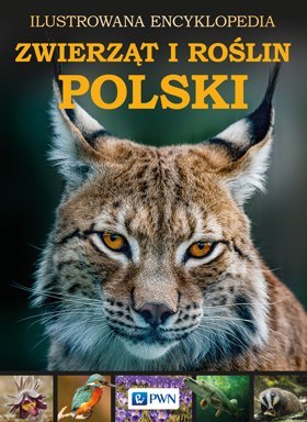 Ilustrowana encyklopedia zwierząt i roślin Polski Ilustrowana encyklopedia zwierząt i roślin Polski