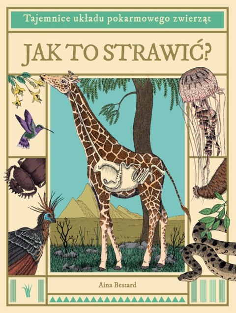Jak to strawić? Tajemnice układu pokarmowego zwierząt Jak to strawić? Tajemnice układu pokarmowego zwierząt