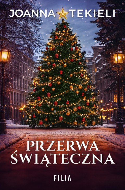 Przerwa świąteczna Przerwa świąteczna