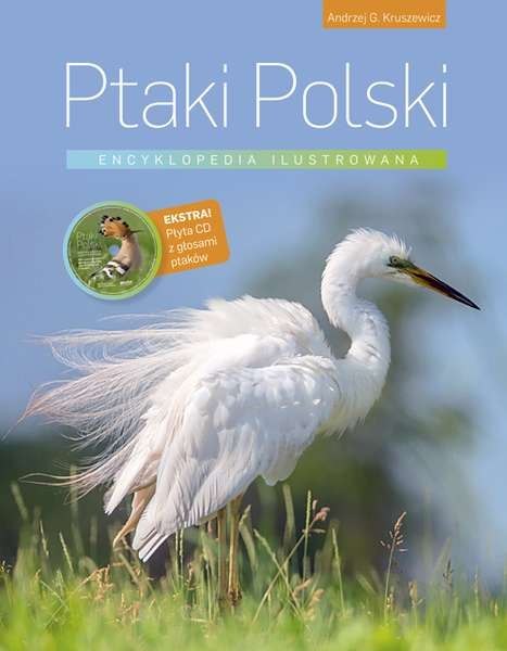 Ptaki polski encyklopedia ilustrowana Ptaki polski encyklopedia ilustrowana