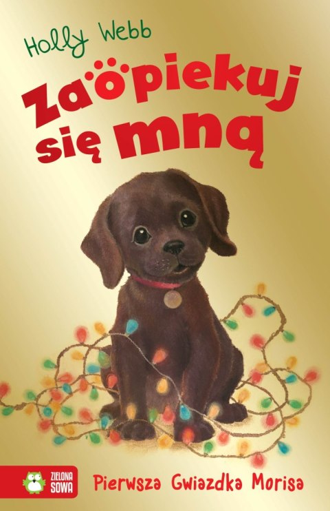 Pierwsza Gwiazdka Morisa. Zaopiekuj się mną Pierwsza Gwiazdka Morisa. Zaopiekuj się mną