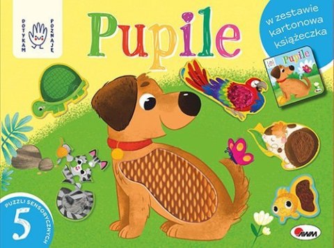 Pupile. Box z puzzlami sensorycznymi. Dotykam poznaję Pupile. Box z puzzlami sensorycznymi. Dotykam poznaję