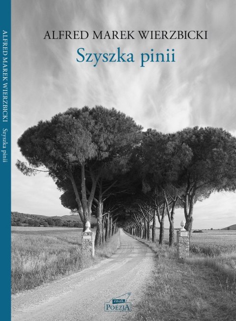 Szyszka pinii Szyszka pinii