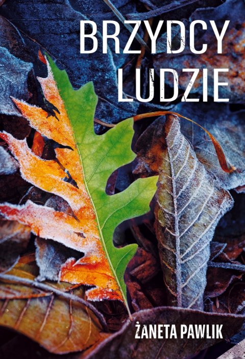 Brzydcy ludzie Brzydcy ludzie
