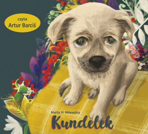 CD MP3 Kundelek CD MP3 Kundelek