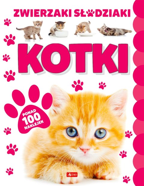 Kotki. Zwierzaki Słodziaki Kotki. Zwierzaki Słodziaki