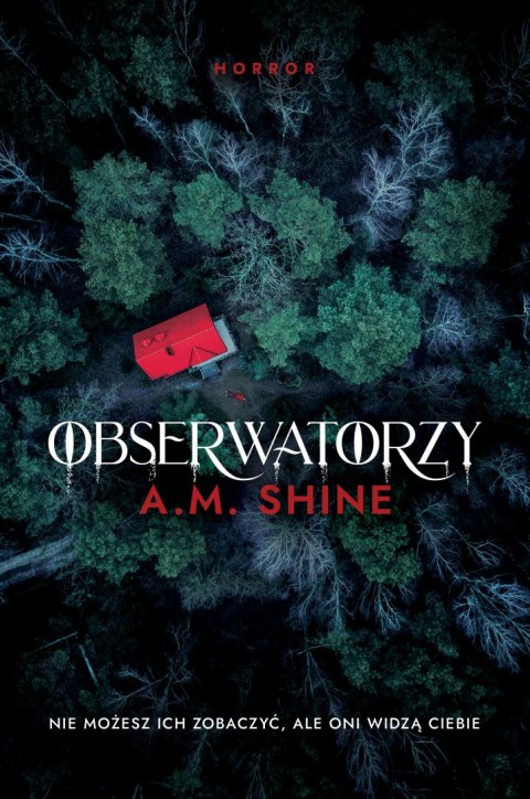 Obserwatorzy Obserwatorzy
