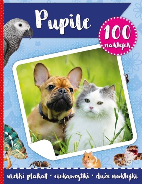 Pupile. 100 naklejek z plakatem Pupile. 100 naklejek z plakatem