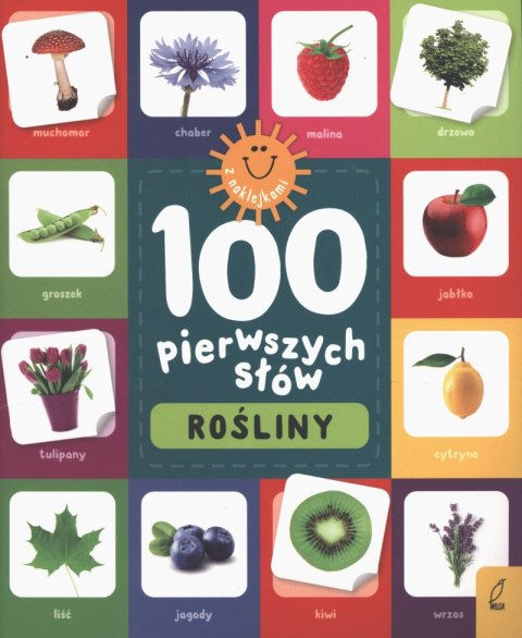 Rośliny. 100 pierwszych słów Rośliny. 100 pierwszych słów