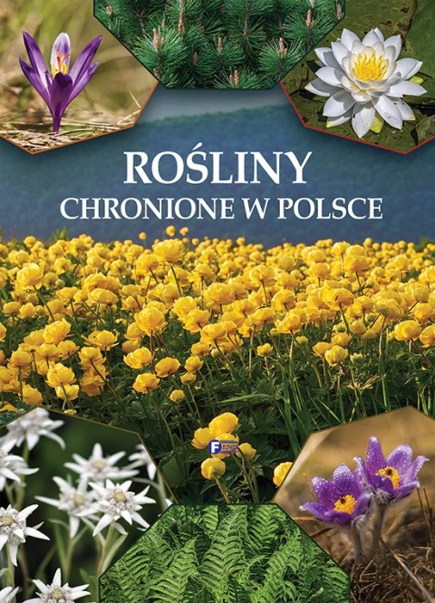 Rośliny chronione w Polsce Rośliny chronione w Polsce