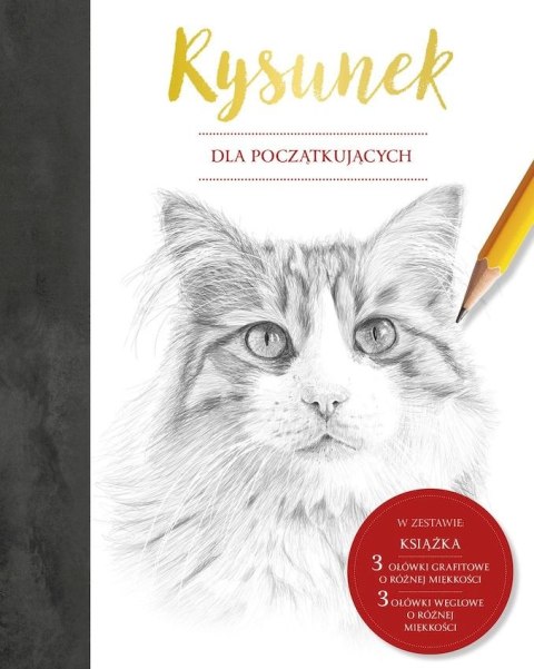 Rysunek dla początkujących Rysunek dla początkujących