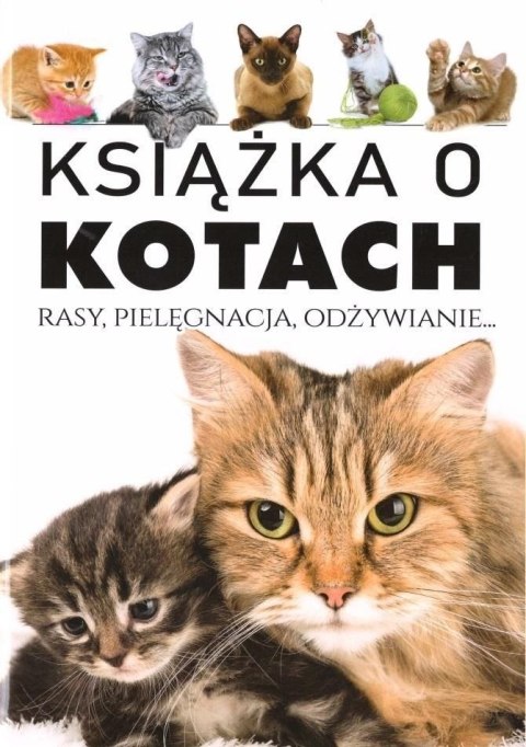 Wielka księga kotów Wielka księga kotów