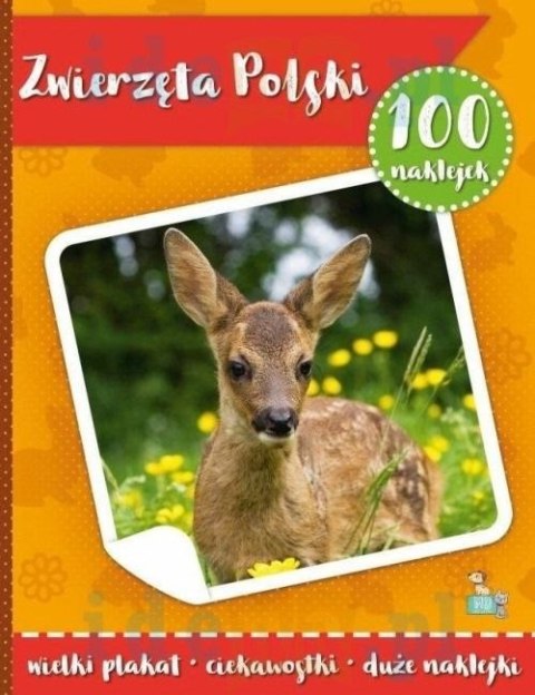 Zwierzęta polski. 100 naklejek z plakatem Zwierzęta polski. 100 naklejek z plakatem