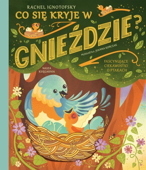 Co się kryje w gnieździe? Fascynujące ciekawostki o ptakach Co się kryje w gnieździe? Fascynujące ciekawostki o ptakach