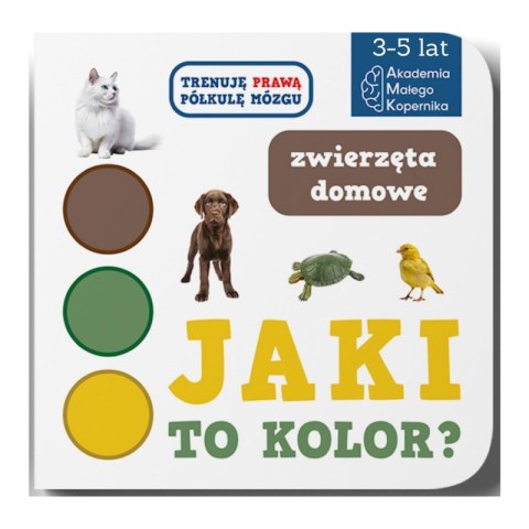 Jaki to kolor? Zwierzeta domowe Jaki to kolor? Zwierzeta domowe