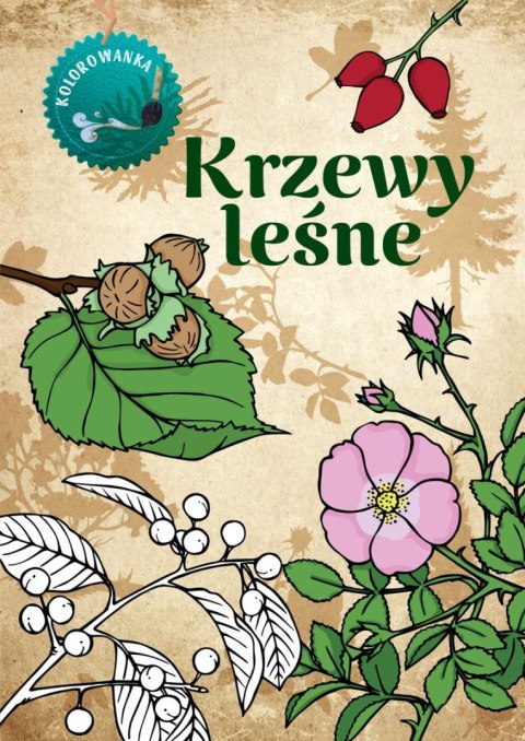 Krzewy leśne. Kolorowanka Krzewy leśne. Kolorowanka
