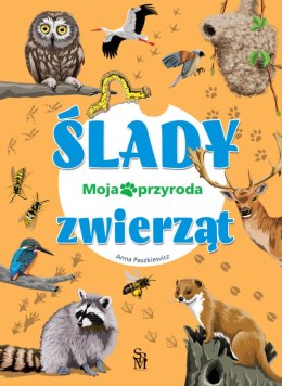 Ślady zwierząt. Moja przyroda