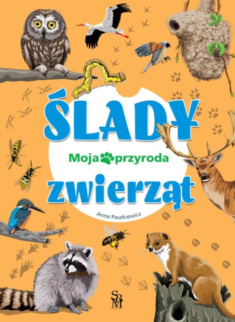 Ślady zwierząt. Moja przyroda Ślady zwierząt. Moja przyroda