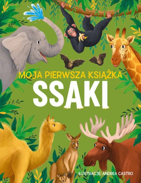 Ssaki. Moja pierwsza książka Ssaki. Moja pierwsza książka