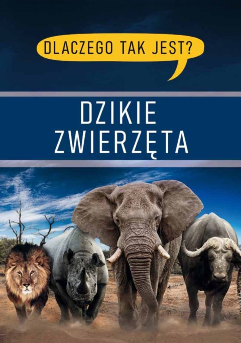 Dzikie zwierzęta. Dlaczego tak jest? Dzikie zwierzęta. Dlaczego tak jest?