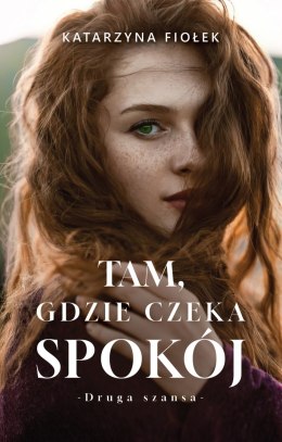 Tam, gdzie czeka spokój. Bieszczady. Tom 1