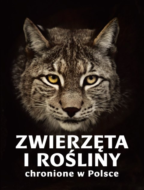 Zwierzęta i rośliny chronione w Polsce Zwierzęta i rośliny chronione w Polsce