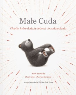 Małe Cuda. Chwile, które dodają dobroci do zadowolenia