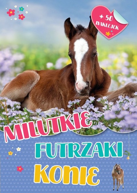 Milutkie futrzaki. Konie Milutkie futrzaki. Konie