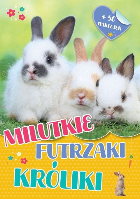 Milutkie futrzaki. Króliki Milutkie futrzaki. Króliki