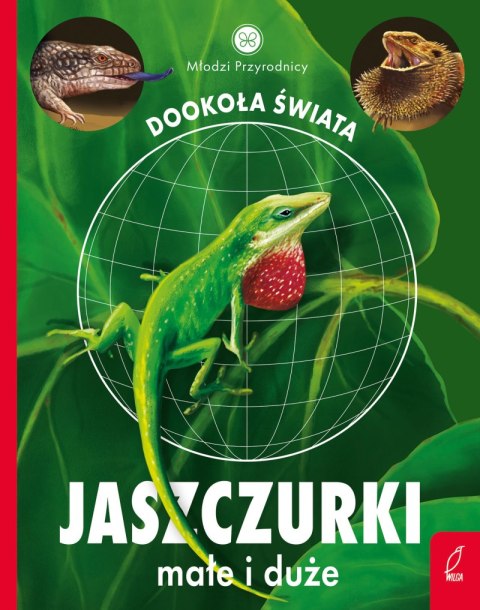 Jaszczurki małe i duże. Młodzi przyrodnicy. Dookoła świata Jaszczurki małe i duże. Młodzi przyrodnicy. Dookoła świata