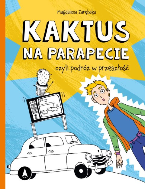 Kaktus na parapecie Kaktus na parapecie