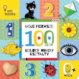 Moje pierwsze 100 słów. Kolory, numery, kształty. 0+ wyd. 2025