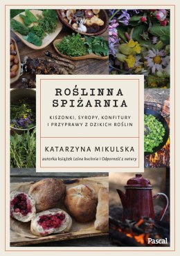 Roślinna spiżarnia. Kiszonki, syropy, konfitury i przyprawy z dzikich roślin