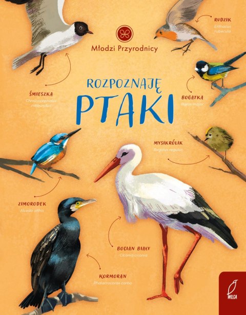 Rozpoznaję ptaki. Młodzi przyrodnicy Rozpoznaję ptaki. Młodzi przyrodnicy