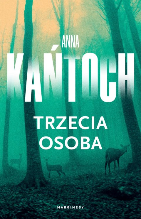 Trzecia osoba Trzecia osoba