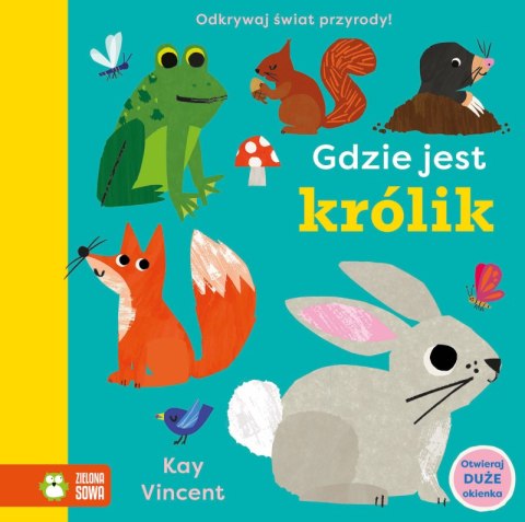 Gdzie jest królik. Gdzie jest... Gdzie jest królik. Gdzie jest...