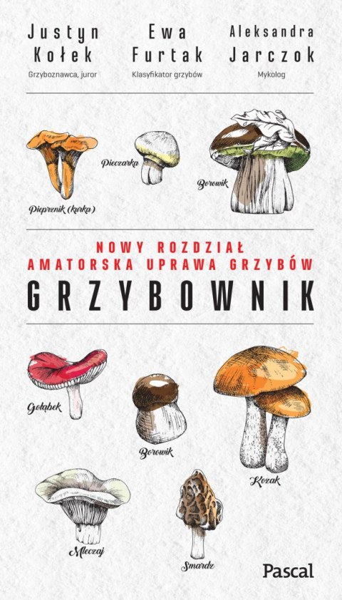Grzybownik Grzybownik