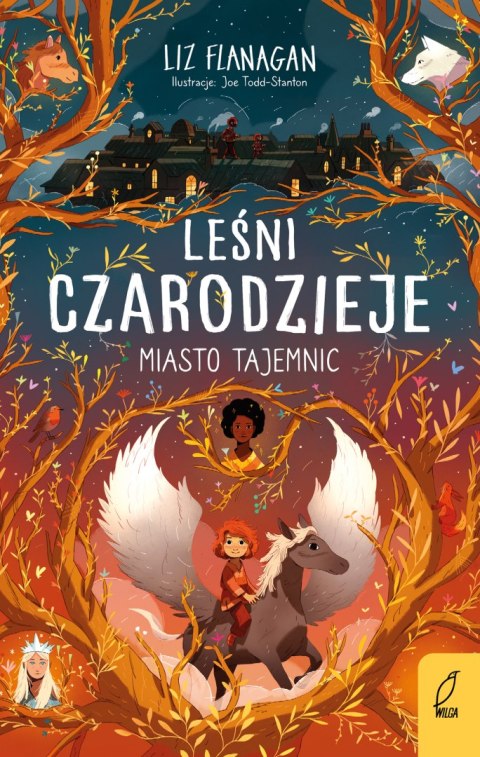 Miasto tajemnic. Leśni czarodzieje. Tom 2